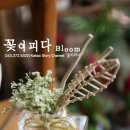 빈티지꽃피다 이미지
