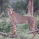 소중약국 이미지