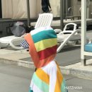 마츠하나 이미지
