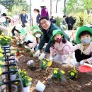 구로-구로-구로-365 이미지