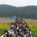 해성농장1 Daum카페
