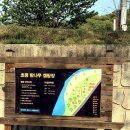 초평밤나무 네이버블로그