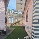 펫뮤즈 | 그랜드뮤즈 브런치 애견동반 법 바뀌고 감