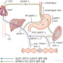 四字成語 총정리 ㅁ 276 문맥구역~문맹퇴치
