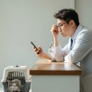 통일동물병원 | 동물병원 플레이스 리뷰 모으는 효과적인 방법