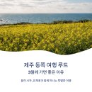 씨유제주성산중앙점 | 제주 동쪽 여행 루트, 3월에 가면 좋은 이유