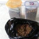 인트라젠 이미지