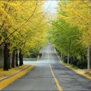 공주 가볼만한곳 -공주10경 어디까지 가봤니?