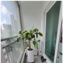 동신부동산중개 이미지