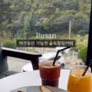 병산농원 이미지