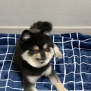 (주)신기사 이미지