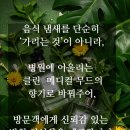 에바병원컨설팅