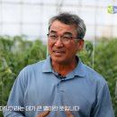 대양축산 이미지