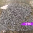 인계동 963-1 이미지
