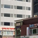 대추나무약국 | 피롤츠커피 시청점: 서울 시청역 카페 수제 카라멜 푸딩과 디카페인 프렌치 프레스 후기 feat. 체리 샤베트