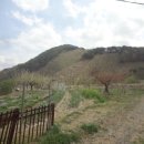 득원