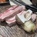 편백돈나무 | 제주여행 5박6일 2일차 남쪽코스 사계해안 소품샵 오션뷰카페 전복 장어맛집