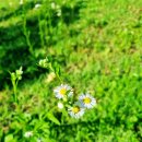 산업단지1호근린공원 이미지