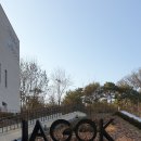 저녁) 유화 초급 이미지