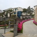 더힐게스트하우스