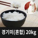 흙애서 이미지