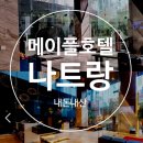 개미 게임랜드 | [나트랑여행]메이플 호텔, 홀리비치호텔 아고다예약 내돈내산 후기