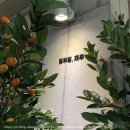 제로미카페 이미지