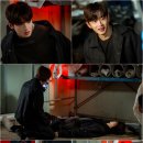 사랑스럽개 이미지