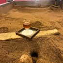 건강종합면역찜질방 | 해운대 찜질방 '효소온 센텀 두드림점' 산후관리에도 좋은 효소찜질 후기