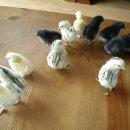 현인농장 이미지