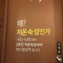 [부산일상] 더도이축산직영점 주례본점 - 주례 회식장소 추천, 소고기와 돼지고기 함께 맛볼수있는곳