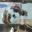 김정자부동산