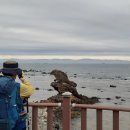 15코스 호미곶~흥환사거리~아무르호텔(2020.10.22.목) 이미지