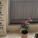 프란츠스토어 이미지