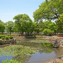 한가로이 경주 이미지