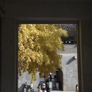 서촌공원 | 가을이 지나가기 전에, 카멜커피 서촌점 방문 후기