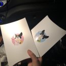 도그원 | 도그원 치카치카볼 강아지 유산균 영양제 후기