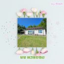 호스위 | 완벽한 힐링 코스! 반려견과 함께하는 담양 애견동반펜션 호스위 후기