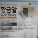 세이브 바이오텍