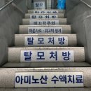 세이브 약국 | 마운자로 2.5mg 5.0mg 예약 수령 및 재고 현황, 서울 종로 성지 병원 약국 팁