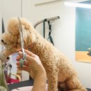 해빛5로 이미지