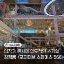 포지티브케이