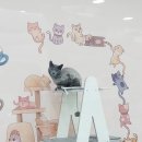 프리펫시티 이미지