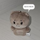 아레나스포츠익산 | 소소한 7월 일상