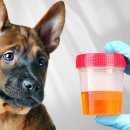 선릉동물병원 이미지