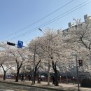카페레버리 | [쌍문역카페/쌍문카페]카페레버리