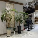 다금한식 이미지