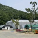 [합천]가야산 별빛농장 캠핑장 C존 /오크돔s 후기