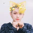 냥냥투게더 이미지