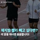 BB피트니스센터 | 뱃살이 안 빠지는 이유? 체지방 감량에 효과적인 운동 추천!(BMI와 체지방률 차이)